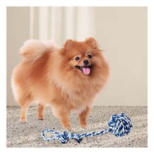 Juguete de Cuerda de Tono Azul con Celeste Y+Papel de Regalo