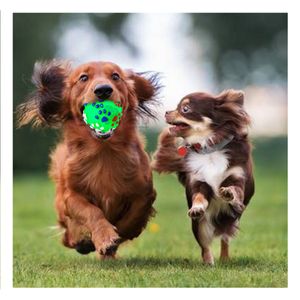Pelota Llamativa con Textura Talla L Verde Y+Papel de Regalo