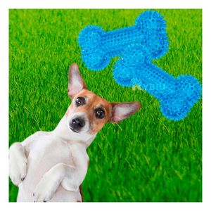 Set Practico para Perro en Color Celeste Y+Papel de Regalo