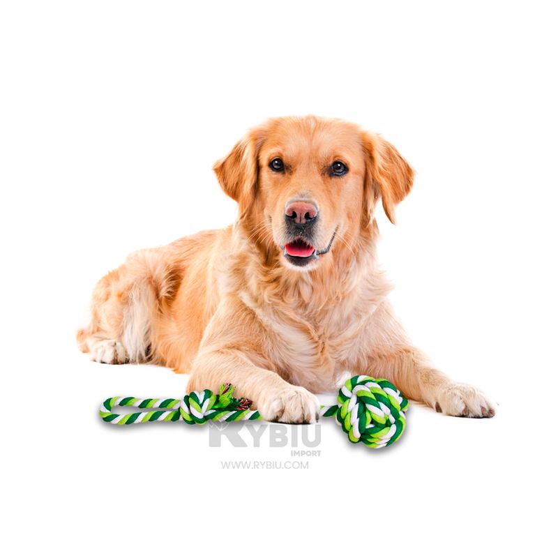 imageUrl_4