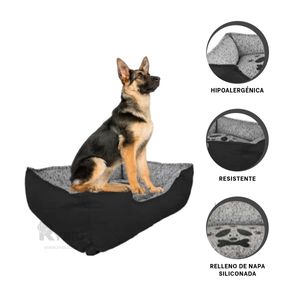 Cama con Base de Lona de Color Negro XL Y+Papel de Regalo