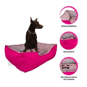 Cama con Base de Lona de XL Color Fucsia Y+Papel de Regalo