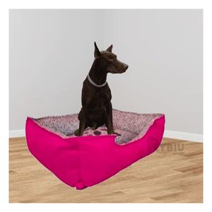 Cama con Base de Lona de XL Color Fucsia Y+Papel de Regalo