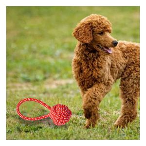 Soga de Morder para Perros Lavable en Rojo Y+Papel de Regalo