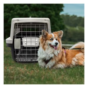 Transportadora para Perro L70 Color Negro Y+Papel de Regalo