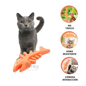 Juguete Cuidado Dental Mascota en Naranja Y+Papel de Regalo