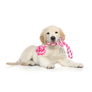 Soga de Morder para Perros Lavable Rosado Y+Papel de Regalo