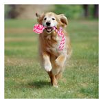 imageUrl_1