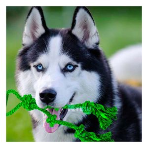 Soga Recreativa para Perros de Tono Verde Y+Papel de Regalo