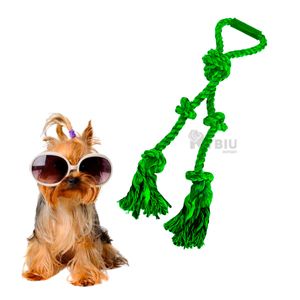 Soga Recreativa para Perros de Tono Verde Y+Papel de Regalo
