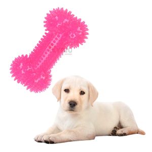 Set Practico para Perro en Color Rosado Y+Papel de Regalo