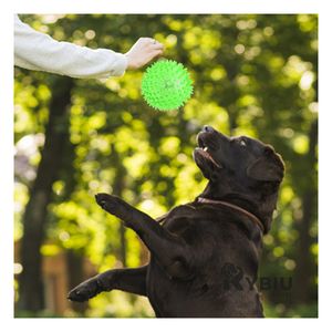 Conjunto Divertido para Mascota en Verde Y+Post-it adhesivos