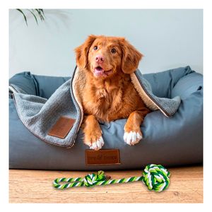 Juguete de Cuerda Resistente de Tono Verde Y+Papel de Regalo