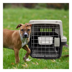 Transportadora Pet de Plastico Compacto L70 en Color Negro