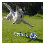imageUrl_1