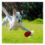imageUrl_1