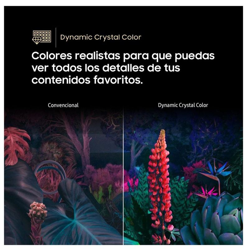 image-24d4ca00abee41df8d9157011f4ad69f