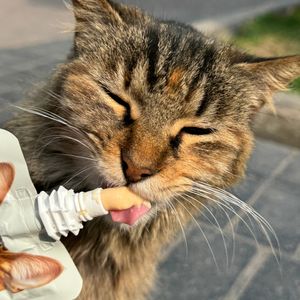 Snack Húmedo para Gato MAO Sabor Atún x85g