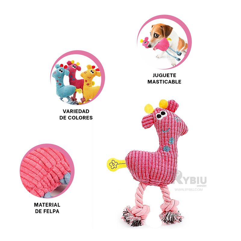 imageUrl_2