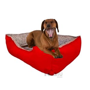 Cama con Base de Lona de Color Rojo XL Y+Papel de Regalo