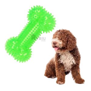 Set Practico para Perro en Color Verde Y+Papel de Regalo