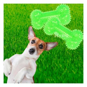 Set Practico para Perro en Color Verde Y+Papel de Regalo