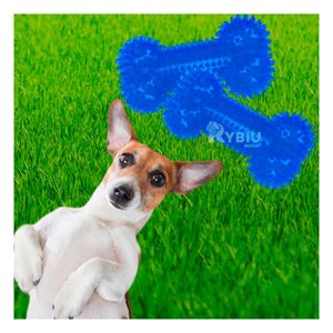 Set Practico para Perro en Color Azul Y+Papel de Regalo