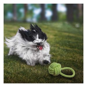 Soga de Morder para Perros Lavable Verde Y+Papel de Regalo
