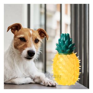 Juguete de PVC para Mascota Tono Amarillo Y+Papel de Regalo