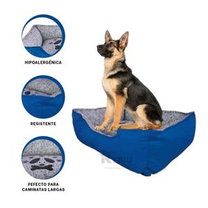 Cama Talla XL para Perros de Talla XL Azul Y+Regalo Agendita