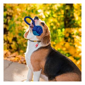 Soga Resistente Lavable para Can de Azul Y+Papel de Regalo