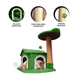 Gym Practico de Usar de Cats Color Verde Y+Regalo Agendita