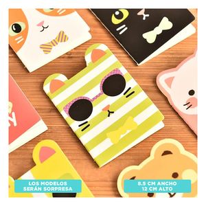 Dosificador Dinamico Doble en Tono Plomo Y+Gift MiniAgenda