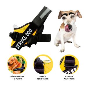 Arnes Multifuncional de Color Amarillo Y+Regalo Stickers