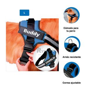 Arnes Resistente y Seguro en L en Azul Y+Regalo Stickers
