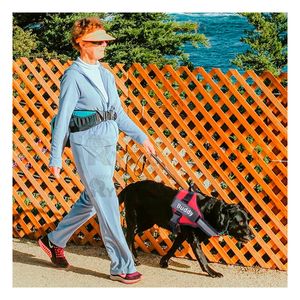 Arnes Seguro de Color Rojo XL Y+Post-it adhesivos