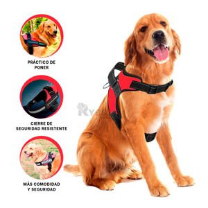 Arnes Seguro de Color Rojo XL Y+Post-it adhesivos