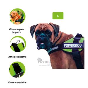 Arnes Practico para Perros en L Tono Verde Y+Regalo Agendita