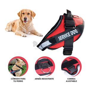 Arnes de Diseño EstandarTalla L en Rojo Y+Papel de Regalo