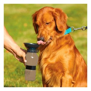 Aqua Recipiente para Hidratacion Gris Y+Regalo Stickers