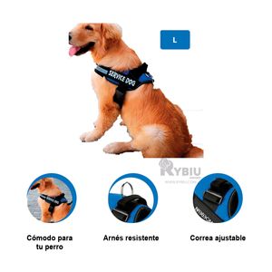 Arnes Funcional Comodo L de Color Azul Y+Papel de Regalo