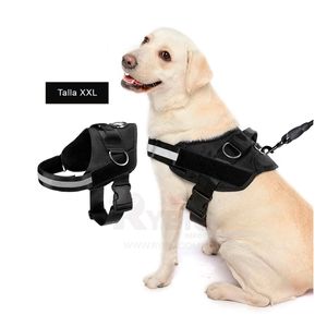 Correa para Perros Ideal en Negro XXL Y+Post-it adhesivos
