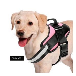 Correa para Perros Ideal en Rosado XXL Y+Post-it adhesivos