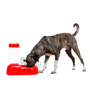 Dispensador Portatil Didactico Color Rojo Y+Regalo Stickers