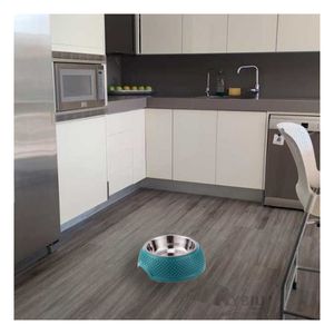 Plato Premium Pet en Color Verde Oscuro Y+Papel de Regalo