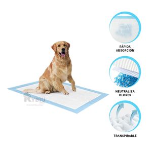 Pañal Absorbente para Suelo 60x60 Talla L Y+Papel de Regalo