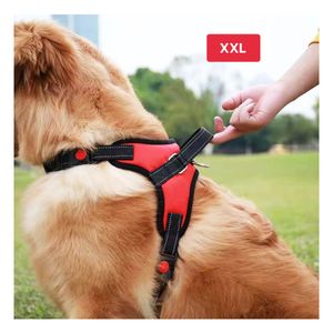 Pechera para Perro Service en Rojo XXL