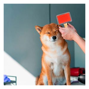 Peine Rectangular para Mascotas de Color Rojo Talla S