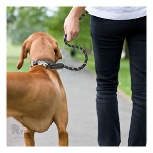 Soga Resistente para Perro de Delgada 2m Color Negro