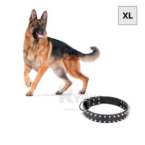 Collar Seguro y Comodo para Perro Negro Talla XL Y+Stickers